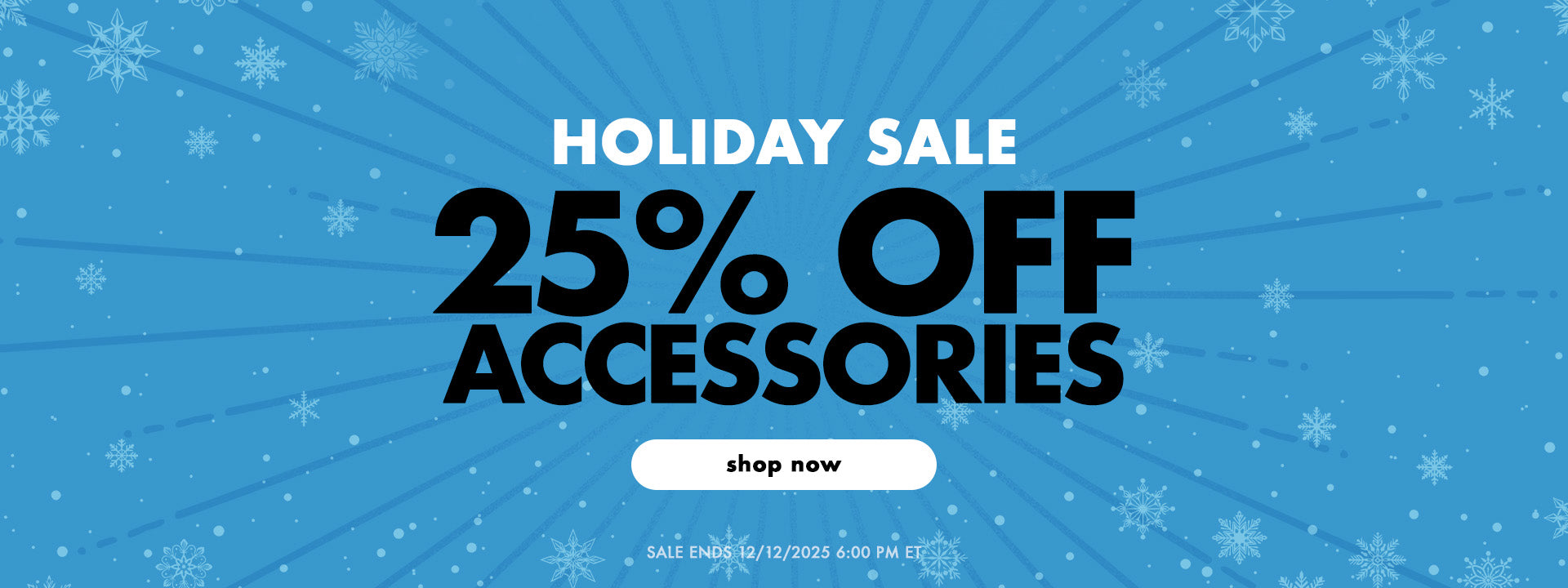 Holiday sale 25% off accessories